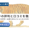 コトラ（KOTORA）の評判・口コミと、社内SE・自社開発への転職を成功させるための活用法を解説するアイキャッチ画像