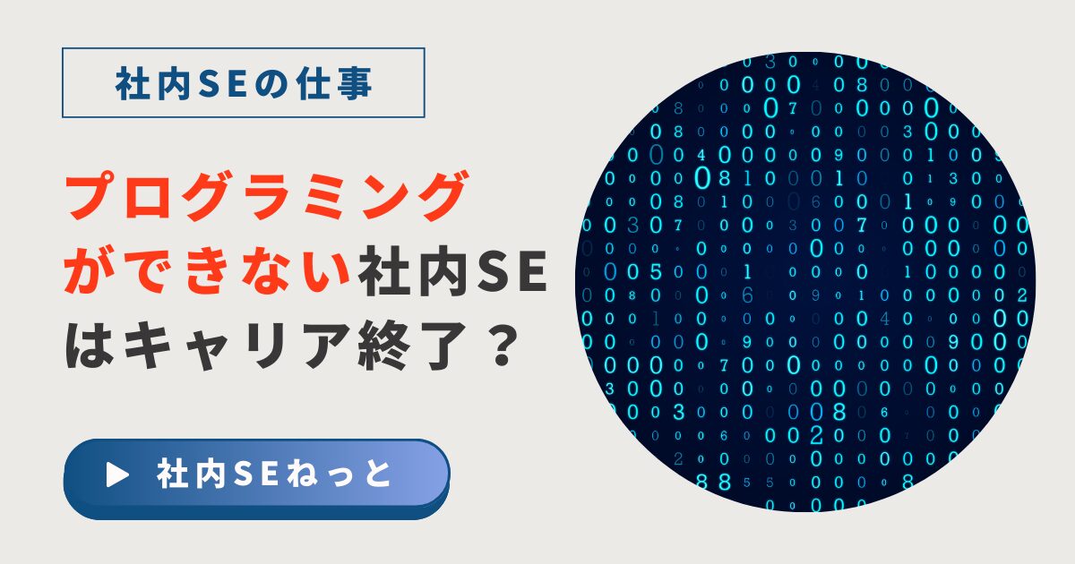 プログラミングができない社内SEはキャリア終了？